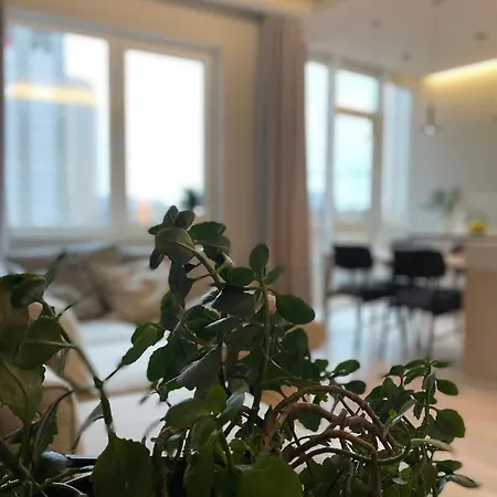 Arcadia Apartment